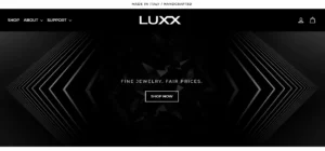 Read more about the article Luxx Jewelry Reviews: Should You Try This?
