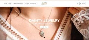 Read more about the article Ashlen Jewelry Reviews: The Ultimate Guide to Luxury Pieces