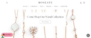Read more about the article Roseate Jewelry Reviews: Does It Meet Your Expectations?