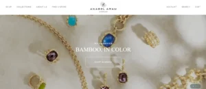 Read more about the article Anabel Aram Jewelry Reviews: Is It Legit And Worth Trying?