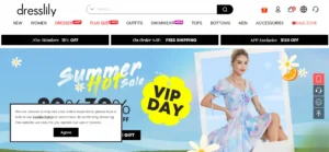 Read more about the article DressLily Clothes Reviews: Is It Legit Or Scam?