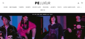 Read more about the article Peluxur Clothing Reviews: Legit or Scam? Unveiling The Truth