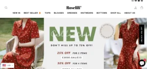 Read more about the article Roselili Clothing Reviews: Is it Worth the Hype?