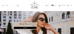 Read more about the article Lucklby Clothing Reviews: Scam or Worth the Try?